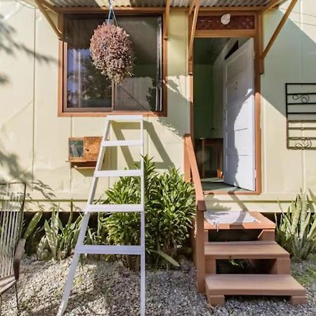 Container House Cahuita Ξενοδοχείο Εξωτερικό φωτογραφία