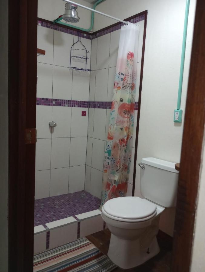 Container House Cahuita Ξενοδοχείο Εξωτερικό φωτογραφία