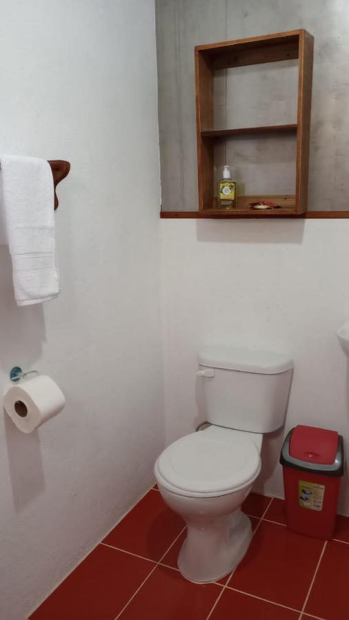Container House Cahuita Ξενοδοχείο Εξωτερικό φωτογραφία